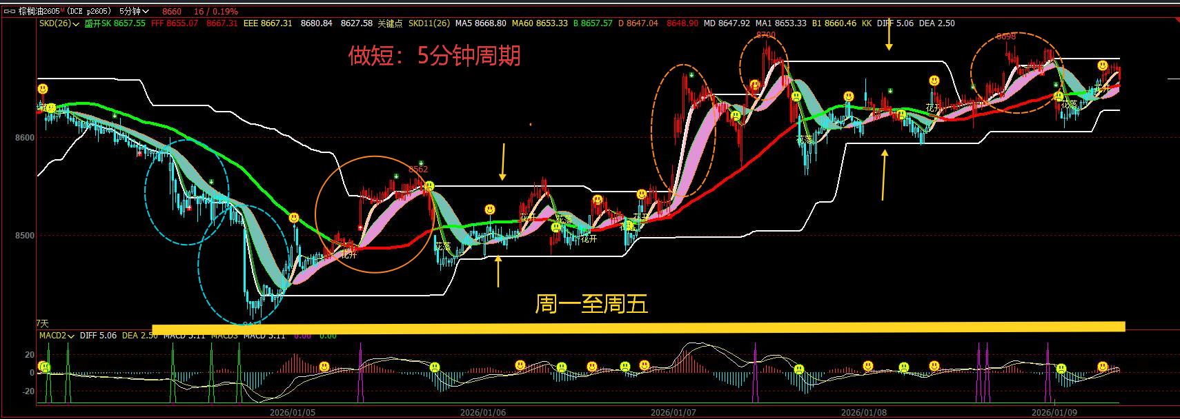 国债期货开盘表现分化