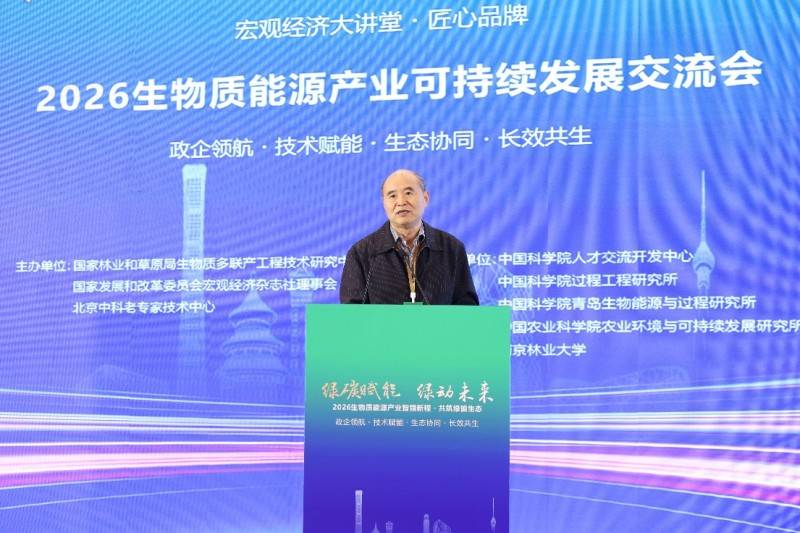 2026中国煤制甲醇行业:是国家能源战略和工业发展的重要一环_人保伴您前行,人保有温度