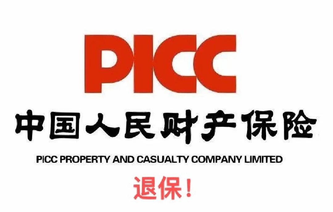 2026-2030年微型车市场投资前景分析及供需格局研究_人保车险,人保有温度