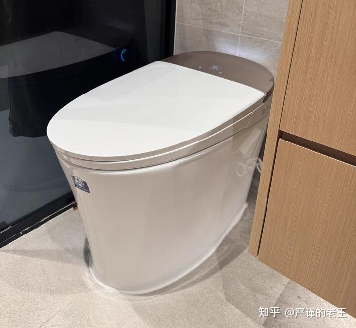瑞尔特获得外观设计专利授权:“马桶冲水面板”