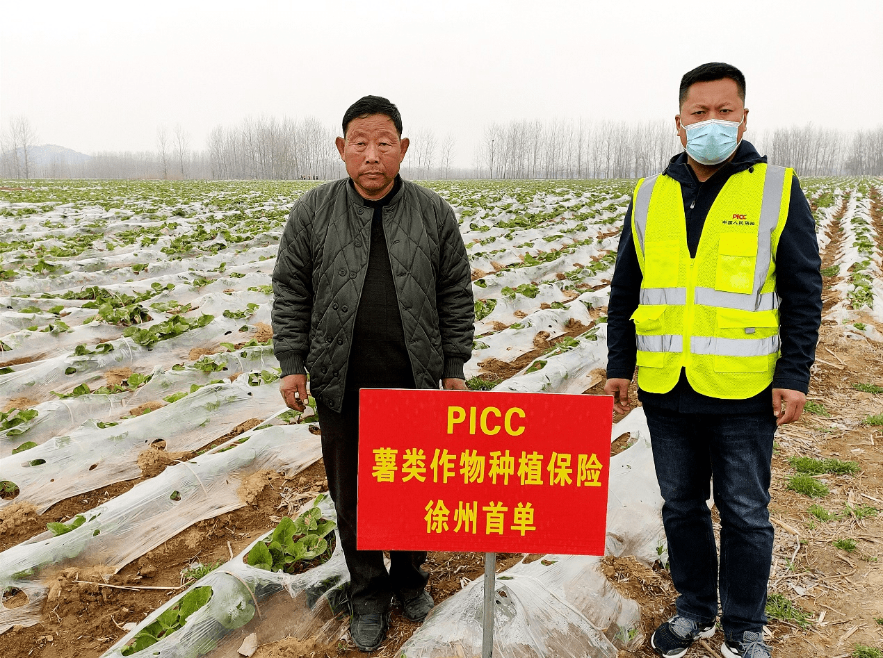 2026变压器行业市场调研及现状、投资前景预测_保险有温度,人保服务