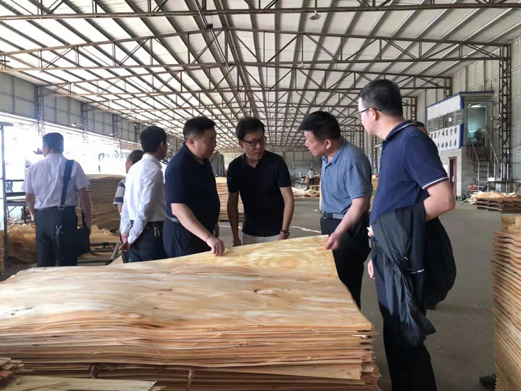 《北部湾经济区开放发展规划》公开征求意见:谋划建设北部湾大宗商品资源配置枢纽