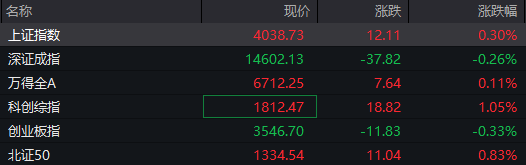 养殖板块走强，湘佳股份涨停